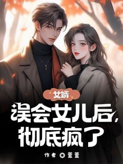 女婿误会女儿后，彻底疯了沈清辞顾淮南全本大结局阅读