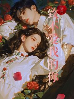 《致不爱我的你》免费试读 沈流念白时序小说章节目录