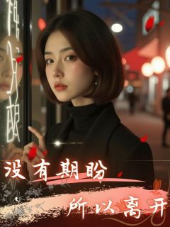 《没有期盼,所以离开》小说大结局在线阅读 沈湉周时宴小说全文