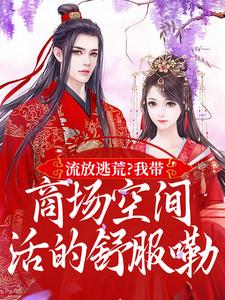 流放逃荒?我带商场空间活的舒服嘞