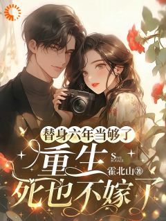 小说替身六年当够了:重生死也不嫁了乔念沈逸章节免费在线阅读地址