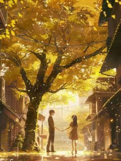 《不如相忘于人海》沈昱安谢云微章节在线阅读