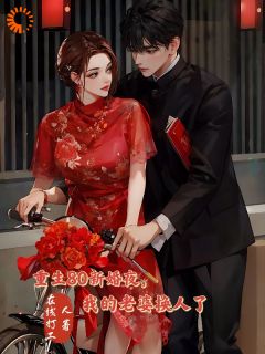 重生80新婚夜，我的老婆换人了李云龙方子婷by在线打工人完整在线阅读