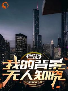 官场:我的背景无人知晓