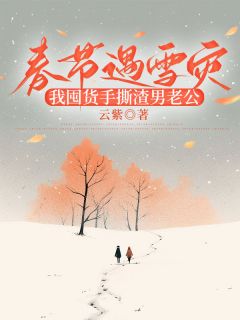 春节遇雪灾,我囤货手撕渣男老公
