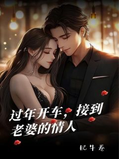 《过年开车，接到老婆的情人》小说全文在线阅读 《过年开车，接到老婆的情人》最新章节目录