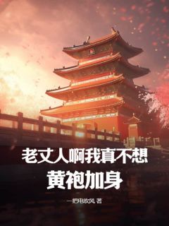 老丈人啊，我真不想黄袍加身！苏湛宋北凝小说全本在线阅读