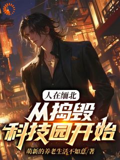 人在缅北,从捣毁科技园开始