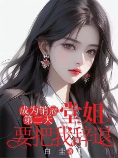 成为销冠第二天，堂姐要把我辞退全文精彩章节在线阅读（王雪燕王文秀）