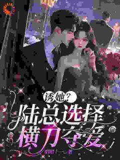 南稚陆凛安小说 诱她?陆总选择横刀夺爱(南稚陆凛安)小说阅读