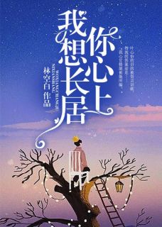 我想长居你心上叶心怡贺言小说精彩内容在线阅读