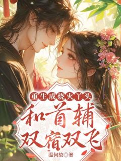 重生成烧火丫头,和首辅双宿双飞