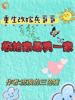 重生改嫁兵哥哥,收拾家暴男一家