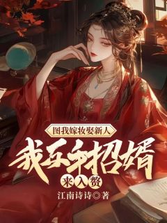 图我嫁妆娶新人?我反手招婿来入赘!