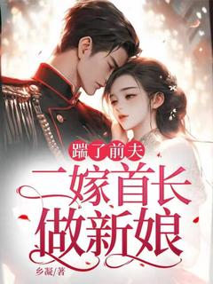 踹了前夫：二嫁首长做新娘小说全文在线阅读 苏染秦牧全文完整版章节