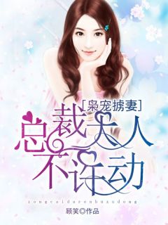 枭宠掳妻:总裁大人不许动