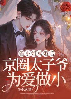 管小姐离婚后,霍少为爱做小