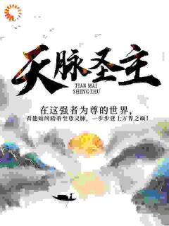 天脉圣主by关东大侠 叶无仙玉玲珑免费在线全文阅读