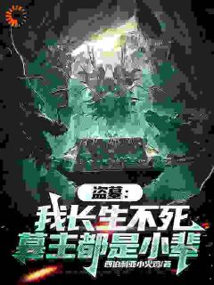 精品《盗墓:我长生不死,墓主都是小辈》小说免费试读 陈玄霍湘云小说全集无删减全文