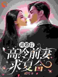 《离婚后，高冷前妻求复合》小说章节免费试读 江南唐晶朱露莎小说全文