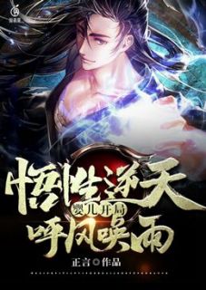 悟性逆天：婴儿开局，呼风唤雨夜枫威风 by正言完整在线阅读