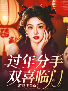 《过年分手,双喜临门》雨思江淮涛全本在线阅读