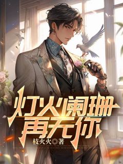 《灯火阑珊再无你》小说主角许辰苏韵全文章节免费免费试读