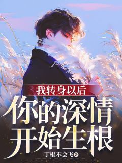 我转身以后，你的深情开始生根陈年江莹宋风小说精彩章节免费试读