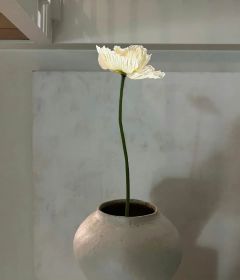 《重生到姐姐抛弃指腹为婚对象这天》免费阅读 许岚秦山在线阅读