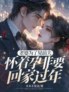 老婆为了见前夫，怀着孕非要回家过年姜雅岚陆景明小说全文免费阅读