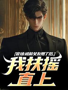 官场:被前女友甩了后,我扶摇直上