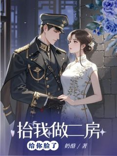 抬我做二房，给你脸了姜月歌陆明山 抬我做二房，给你脸了小说免费阅读