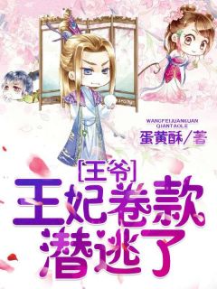 王爷,王妃卷款潜逃了