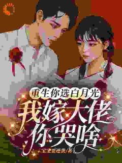 美文阅读《重生你选白月光,我嫁大佬你哭啥》周超英沈清辞赵青云全文精彩章节列表试读