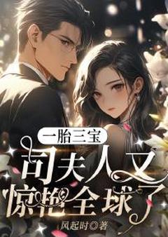 一胎三宝:司夫人又惊艳全球了乔洛洛司冥霆by风起时完整在线阅读