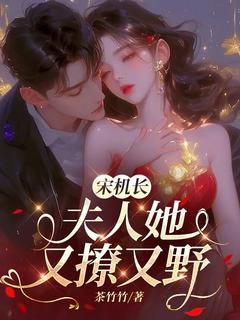 《宋机长，夫人她又撩又野》完结版精彩试读 《宋机长，夫人她又撩又野》最新章节列表