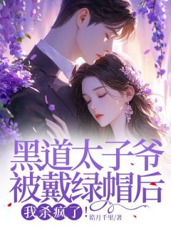 《黑道太子爷被戴绿帽后，杀疯了！》慕北辰林婉儿章节在线阅读