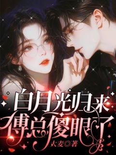《白月光归来，傅总傻眼了》叶欢傅晏州章节精彩试读