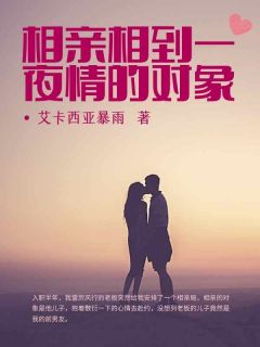 《相亲相到一夜情的对象》大结局精彩试读 《相亲相到一夜情的对象》最新章节列表