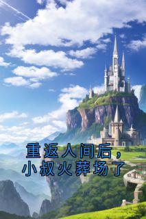 重返人间后,小叔火葬场了
