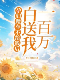 《孕妇蹭车不给钱后，白送我一百万》小说大结局免费阅读 苏梅刘凯孟晚舟小说全文