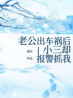 《老公出车祸后小三却报警抓我》精彩章节列表在线试读 赵宗伟王倩小说