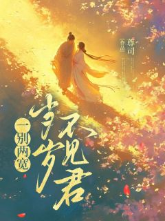 一别两宽,岁岁不见君岁岁孟钰 一别两宽,岁岁不见君全文阅读