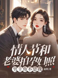 [情人节和老婆拍孕妇照，男主角不是我梁晟梁辉沈清小说全文章节目录在线阅读