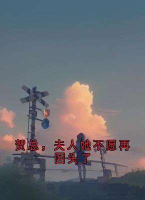 贺总,夫人她不愿再回头了