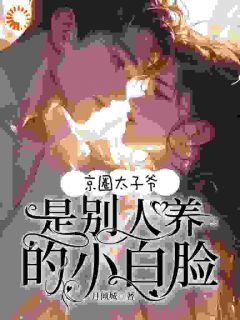 京圈太子爷！是别人养的小白脸小说最新章节免费阅读（精彩章节未删节）