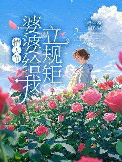 情人节，婆婆给我立规矩完整版 林冉陆斐全章节阅读