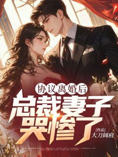 《协议离婚后，总裁妻子哭惨了》小说主角林墨季月茹全文章节免费免费试读