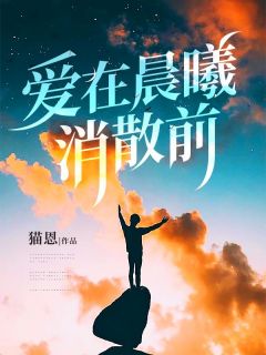 《爱在晨曦消散前》全集免费在线阅读(秦远明苏言乔陆晓笙)