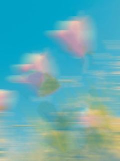 《我都死了，你们还说爱我》苏洛沈清欢完结版免费试读